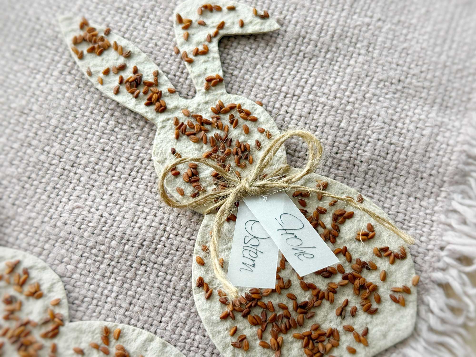 Nahaufnahme Saatpapier-Osterhase aus handgeschöpftem Papier mit Bio-Gartenkresse